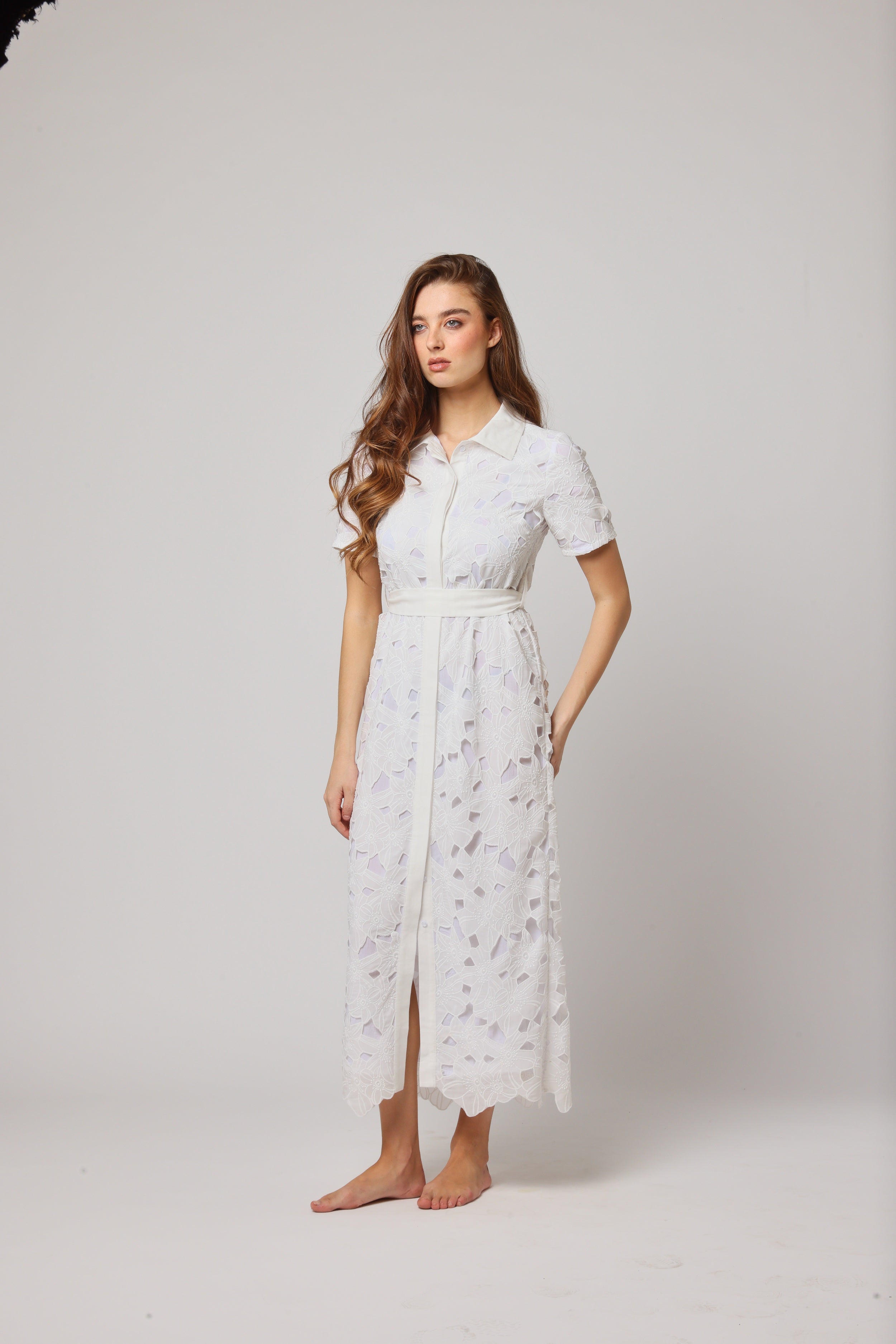 Gul – A Bloom of Timeless Elegance