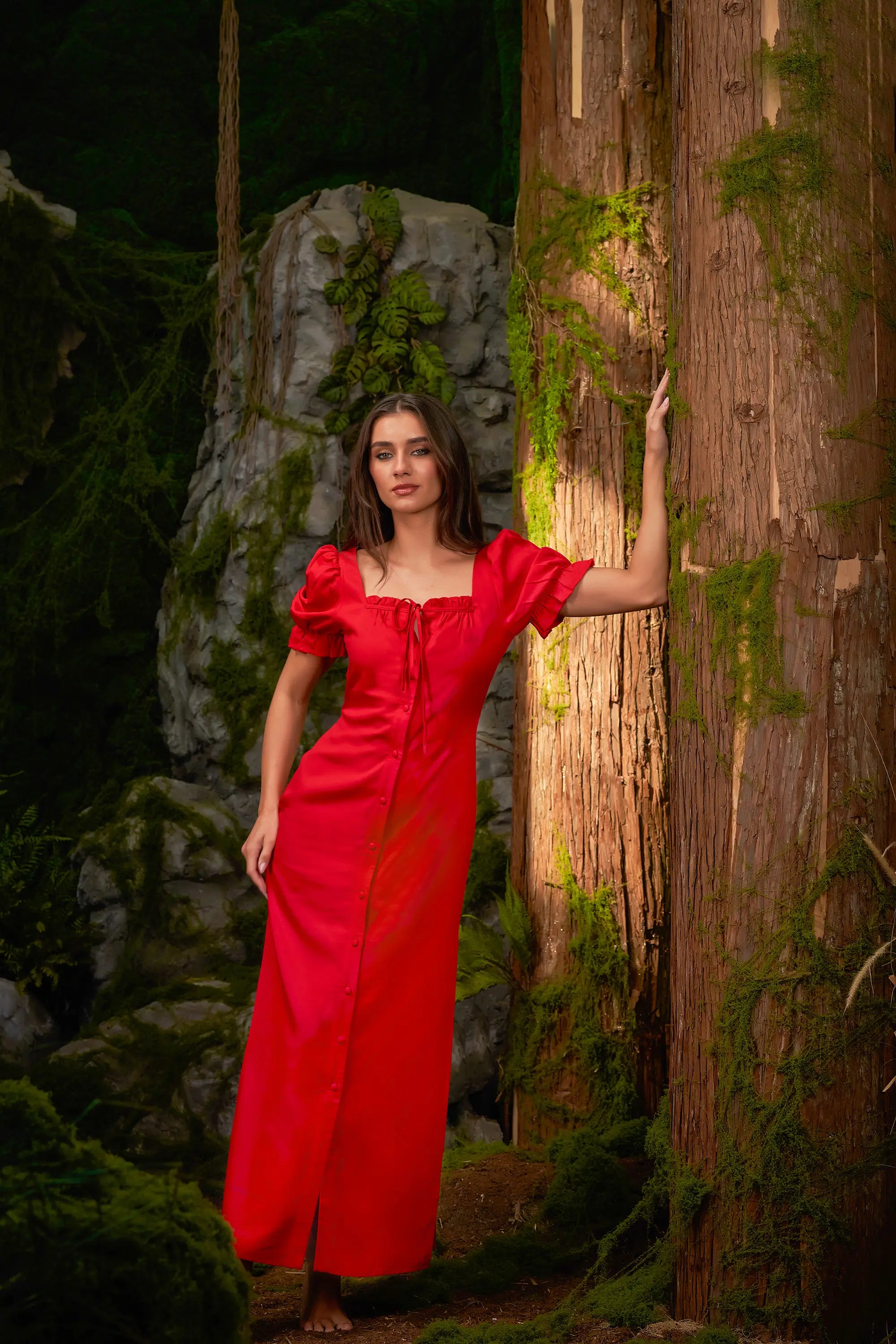 Dilruba – A Poetic Expression of Romance and Grace